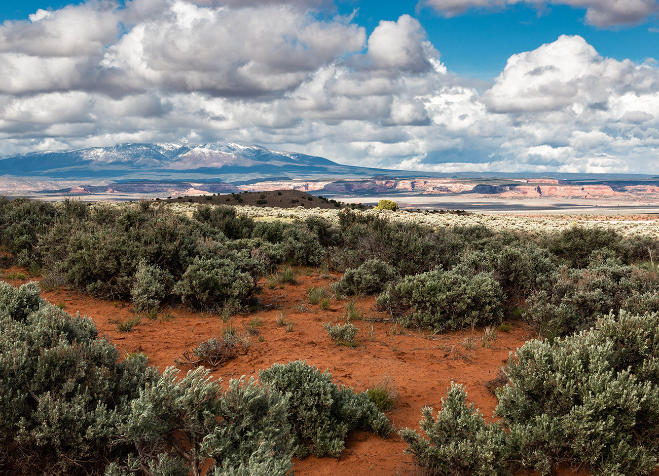 Puffy clouds over Canyonlands National Park.