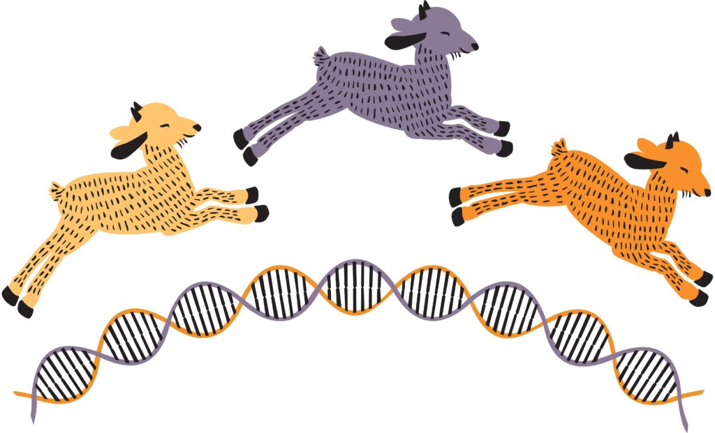 Illustration of goats jumping over strands of DNA.