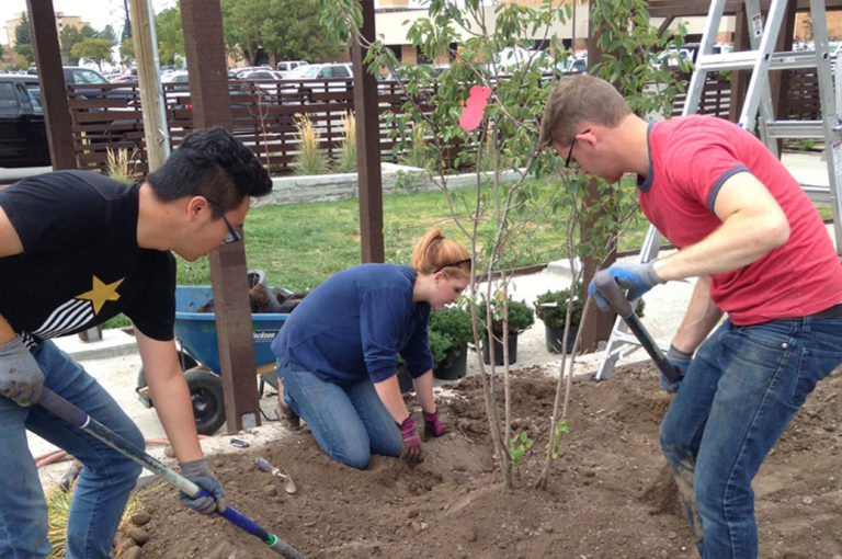 Students planting a tree for the landscape