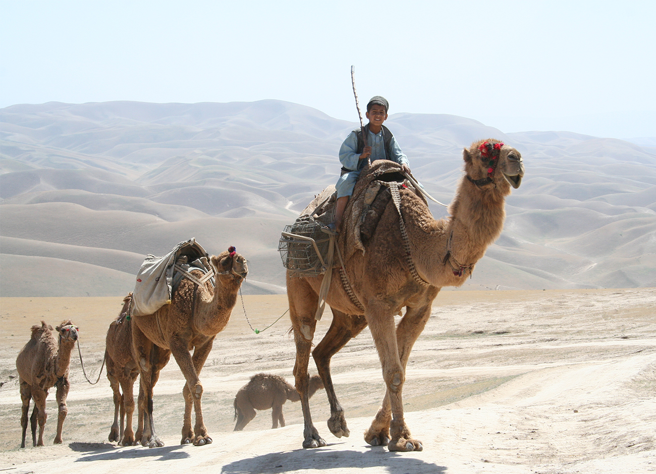 A Kuchi boy rides a camel through rural Afghanistan.