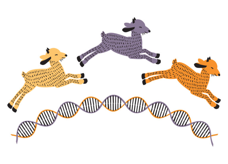 Illustration of goats jumping over strands of DNA.