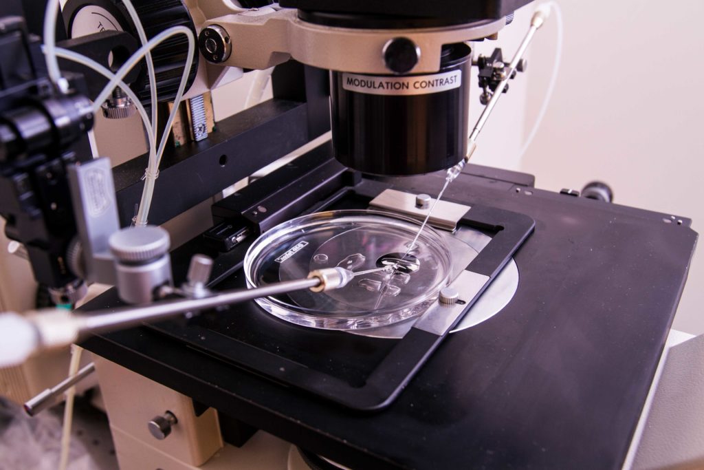 Microscope and a petri dish