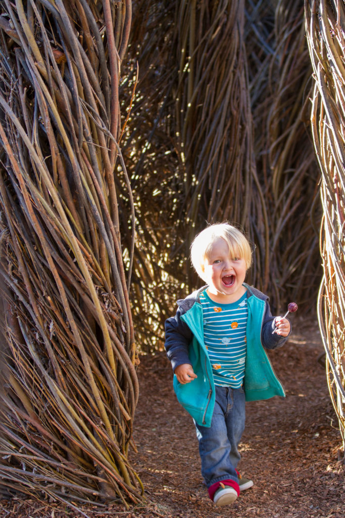 A 2 year-old boy runs through the interactive art installation with a smile on his face.