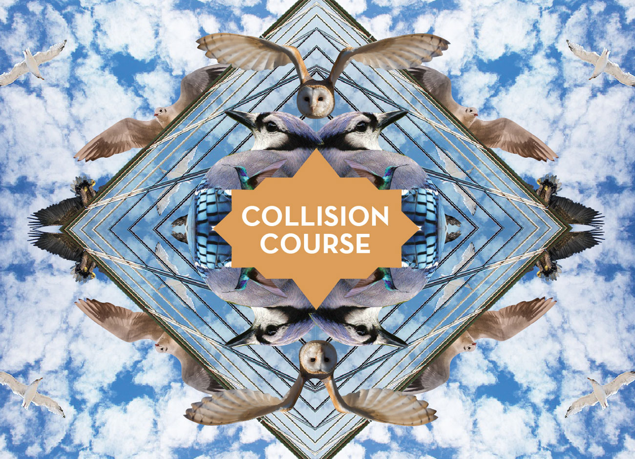 a kaleidoscope illustration o an owl and blue jay colliding with a building, a blue sky and clouds behind it