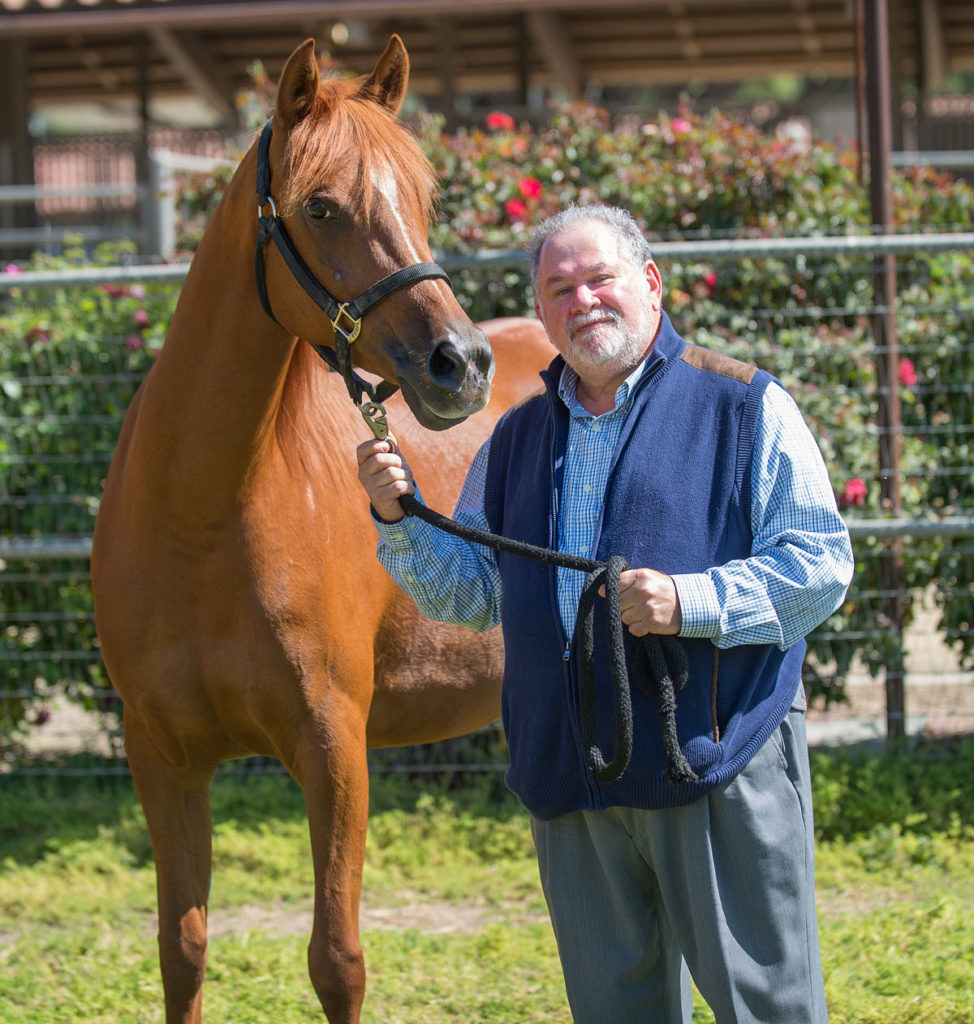 a man in a blue sweater vest and grey pants holds the reins of a ginger colored horse. He leans in and smiles.