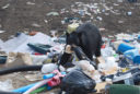 a black bear standing in the middle of a pile of trash it has gotten into. The bear is holding a bagel in its mouth.