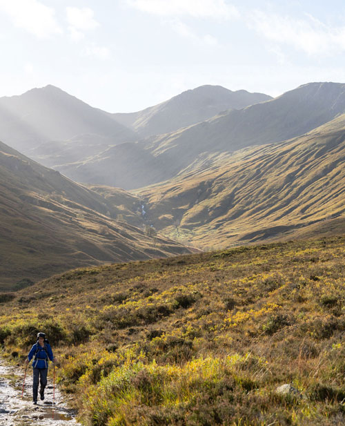 a woman clad in blue and holding walking poles hikes through the Scottish highlands. The hills shine gold and green. The trail is wet.