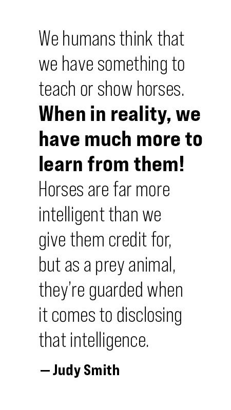 pull quote: We humans think that we have something to teach of show horses. When in reality, we have much more to learn from them! Horses are far more intelligent than we give them credit for, but as a prey animal, they're guarded when it comes to disclosing that intelligence." - Judy Smith