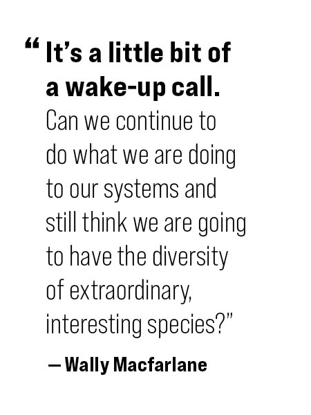 Pull quote: It's a little bit of a wake-up call. Can we continue to do what we are doing to our systems and still think we are going to have the diversity of extraordinary, interesting species?" - Wally Macfarlane