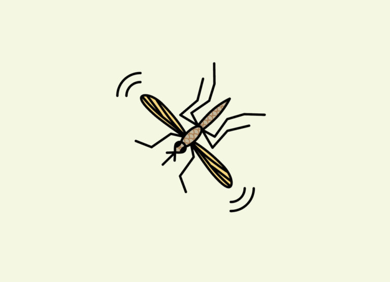 an illustration of a mosquito in flight