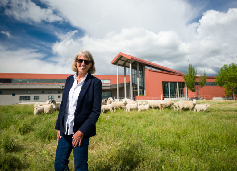 USU President Noelle Cockett outside with a flock of sheep in the background