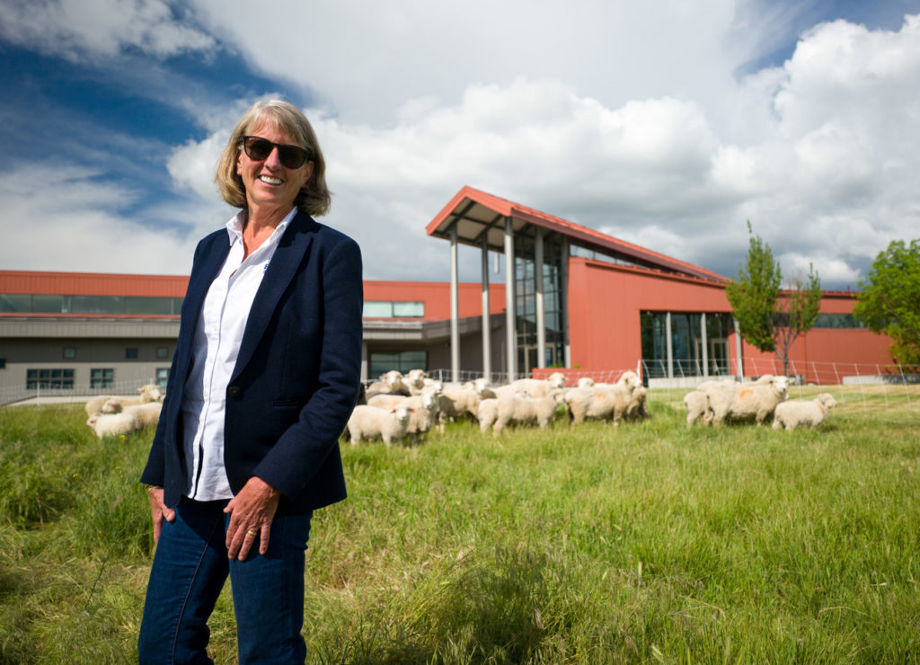 Noelle Cockett stands in a field of sheep