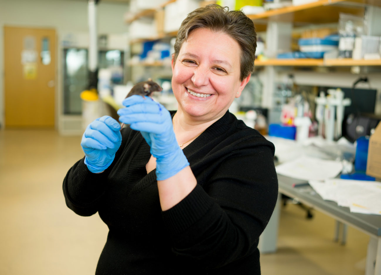 USU associate professor of psychology, Dr. Mona Buhusi, holds a mouse in gloved hands in her lab. Buhusi uses swimming mice to research cognitive decline.