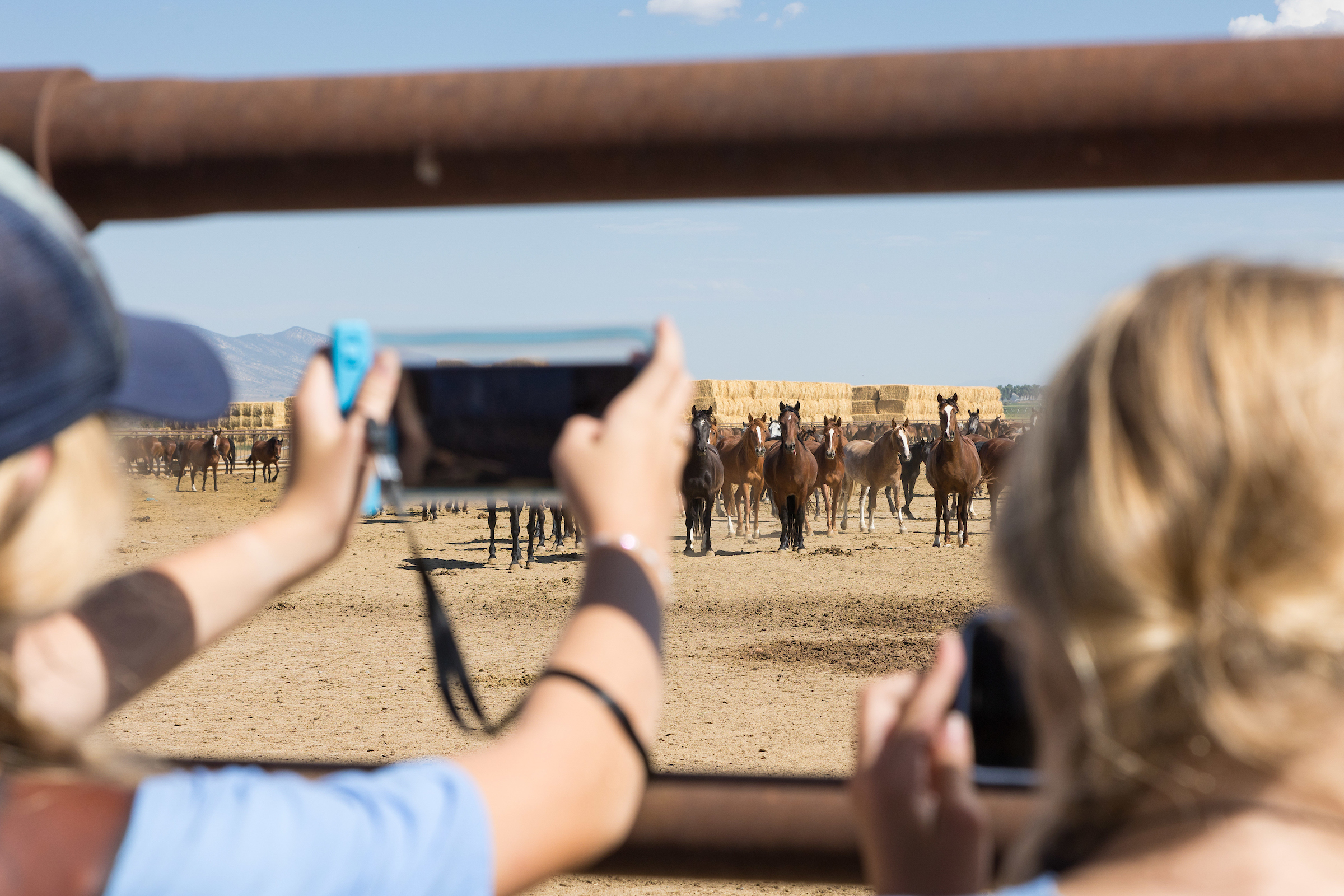 Two girls participating in the Mustang Camp take pictures of the wild horses being held at a BLM holding facility in Axtell, Utah.
