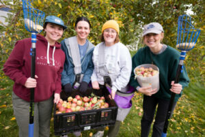 Four female students, members of USU's Gleaning Team, gather unpicked apples to distribute to those battling food scarcity.