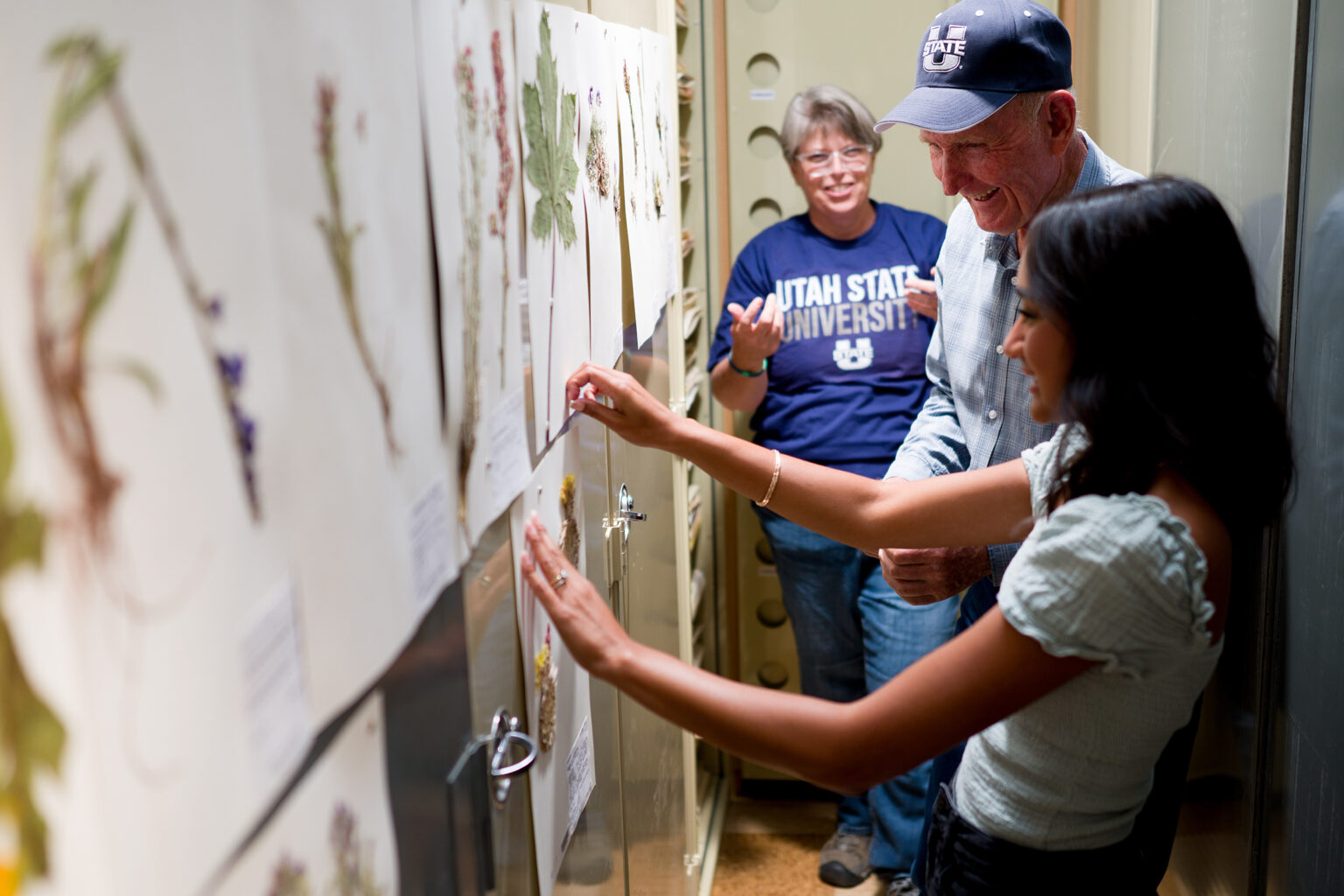 USU Herbarium Houses Uintah Basin’s Unique Flora